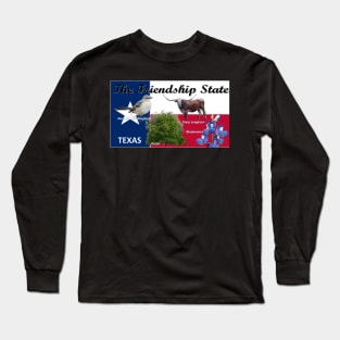 Texas State Flag and Symbols Long Sleeve T-Shirt